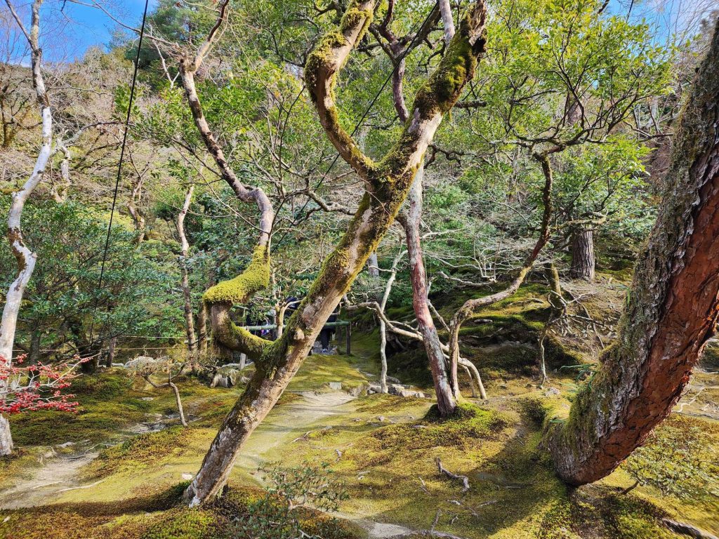 Ginkaku-ji Temple: Kyoto’s Silver Pavilion and Zen Heritage 4 Ginkaku-ji Temple