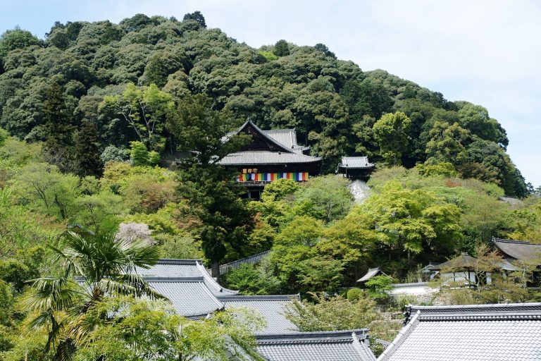 Hase-dera Temple: Head Temple of the Buzan Shingon Tradition in Japan