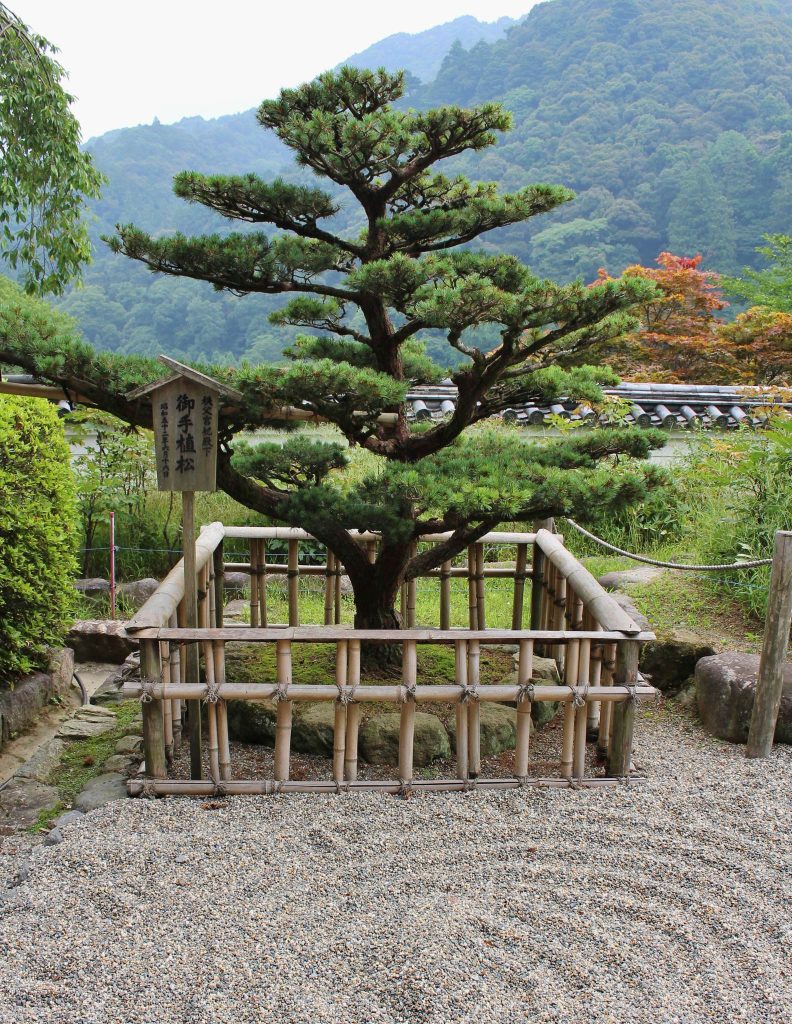 Hase-dera Temple