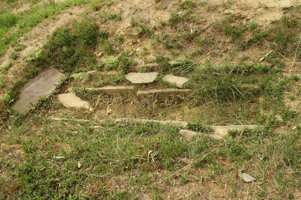 Iwase Senzuka Kofun Group: An Ancient Elite Cemetery in Japan 1 Iwase Senzuka Kofun Group