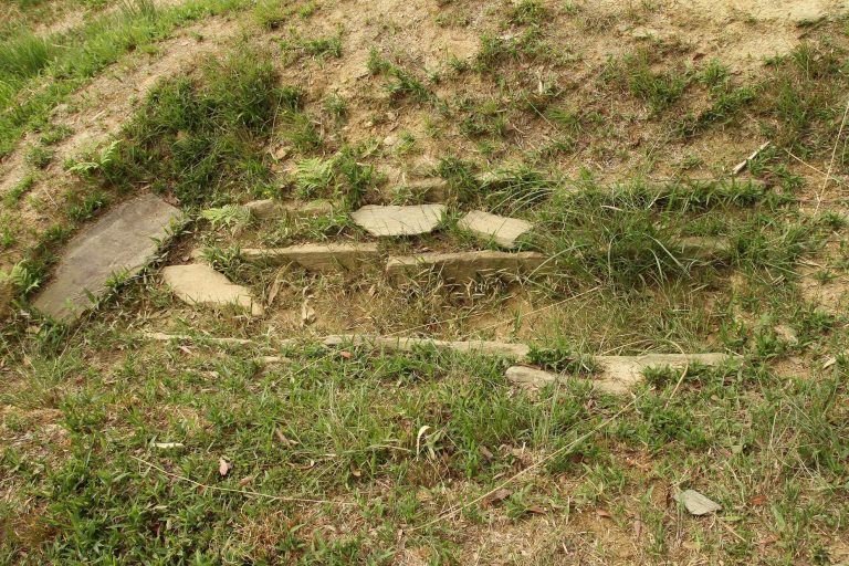 Iwase Senzuka Kofun Group: An Ancient Elite Cemetery in Japan