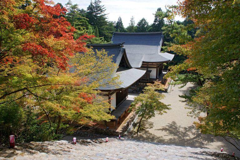 Jingo-ji Temple: A Shingon Buddhist Head Temple in Kyoto