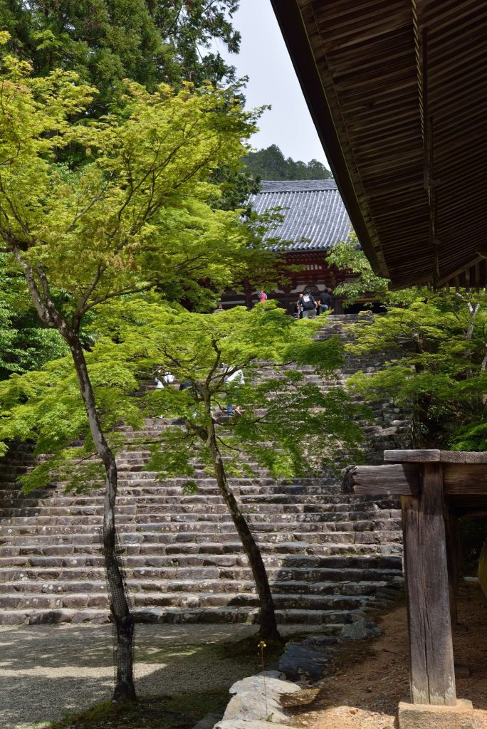 Jingo-ji Temple: A Shingon Buddhist Head Temple in Kyoto 2 Jingo-ji Temple