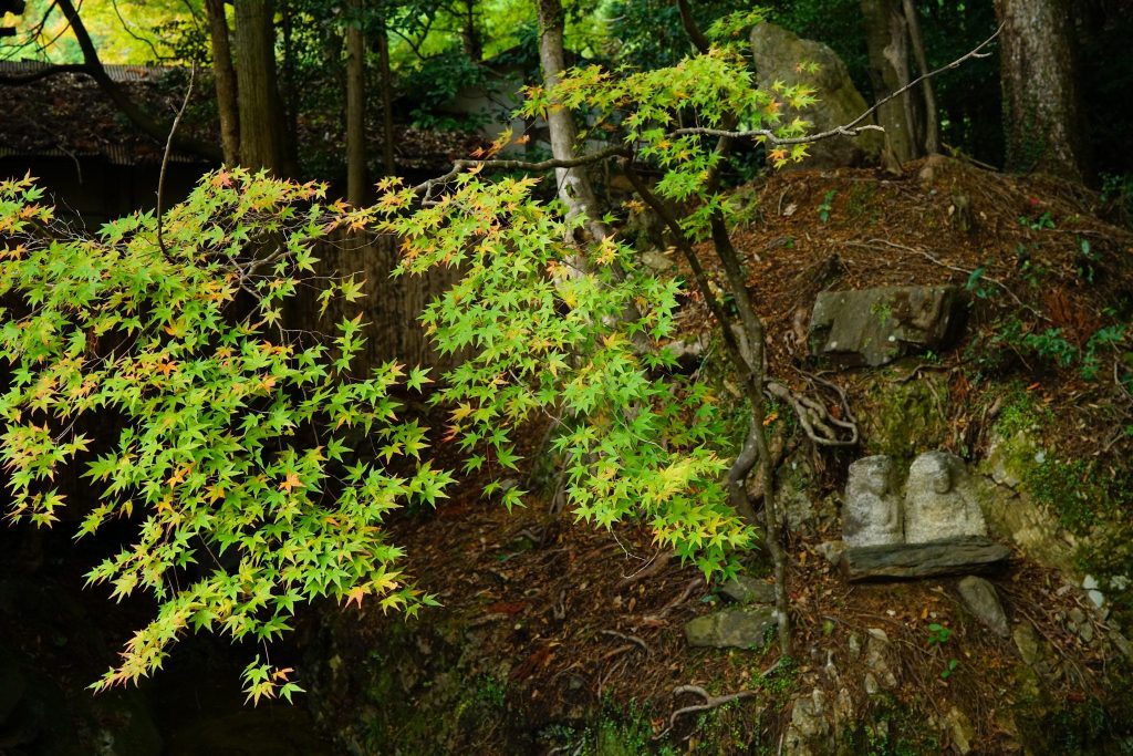 Jingo-ji Temple: A Shingon Buddhist Head Temple in Kyoto 3 Jingo-ji Temple