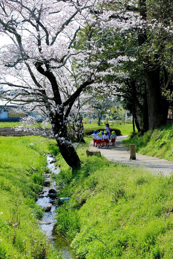 Saitobaru Kofun Cluster: A Major Japanese Burial-Mound Complex 5 Saitobaru Kofun Cluster