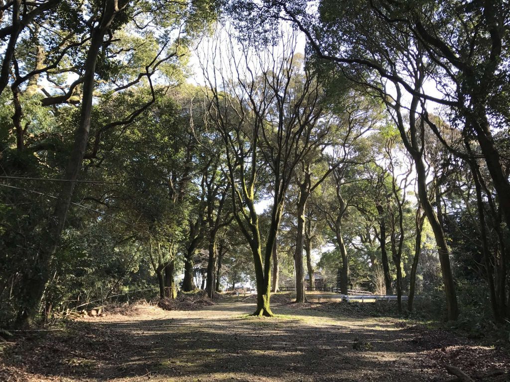 Chiriku Hachimangū: A Historic Hachiman Shrine in Saga, Japan 4 Chiriku Hachimangū