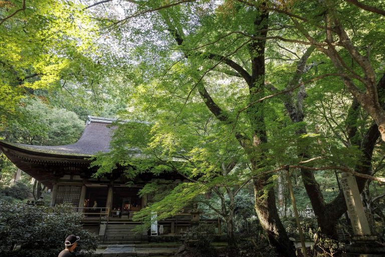 Murō-ji Temple: A Shingon Mountain Sanctuary in Japan