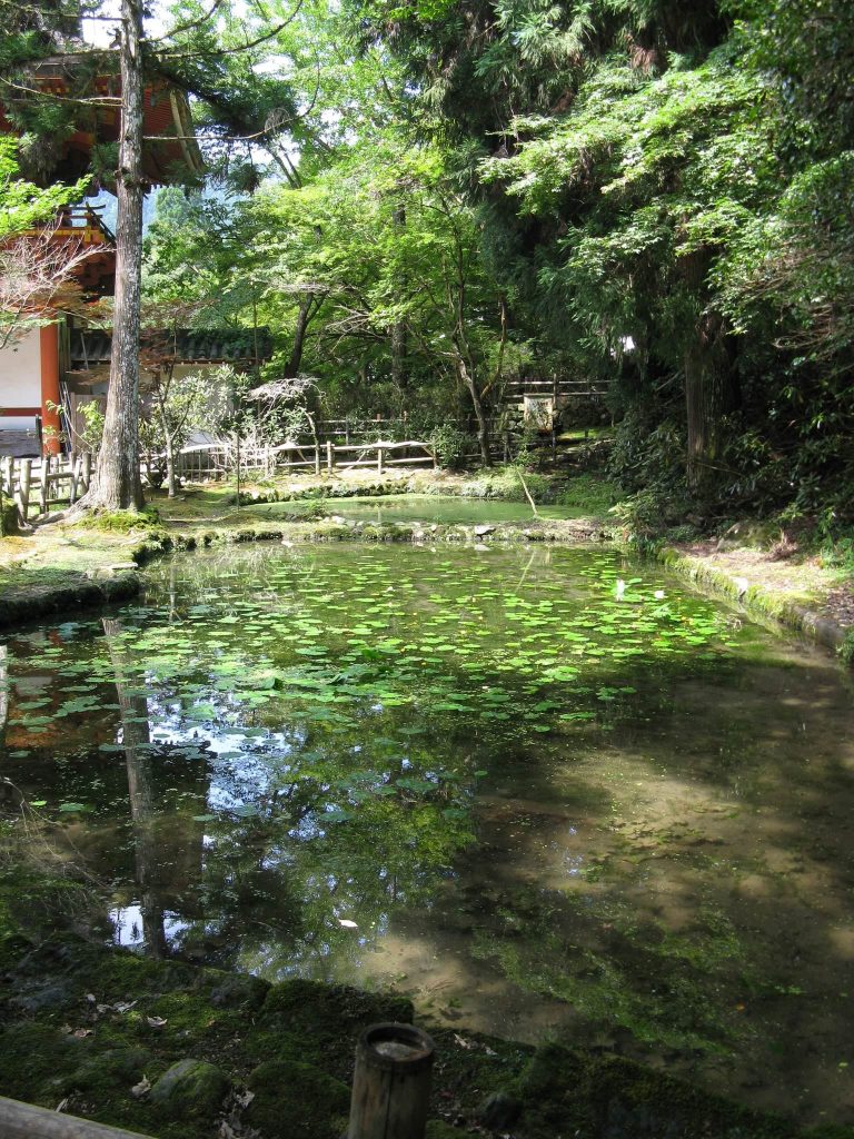 Murō-ji Temple: A Shingon Mountain Sanctuary in Japan 2 Murō-ji Temple