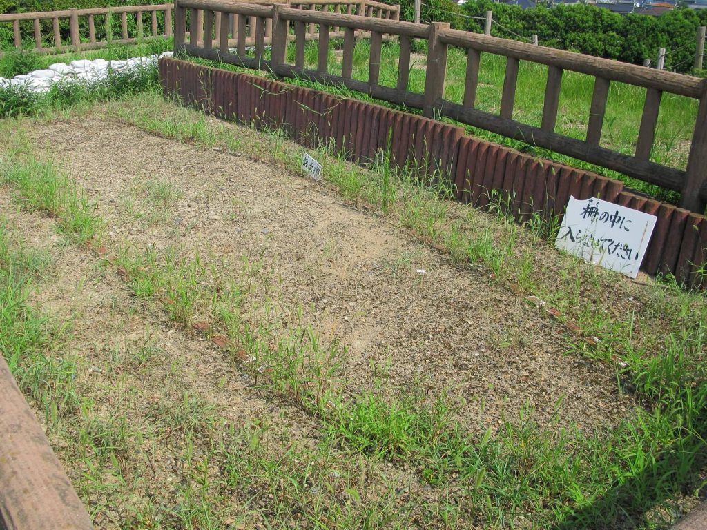 Inariyama Kofun: A Keyhole-Shaped Burial Mound in Japan 4 Inariyama Kofun