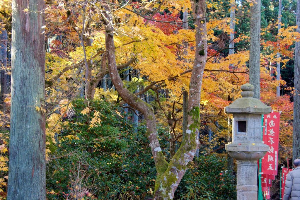 Sanzen-in Temple: A Tendai Monzeki Temple in Kyoto 3 Sanzen-in Temple