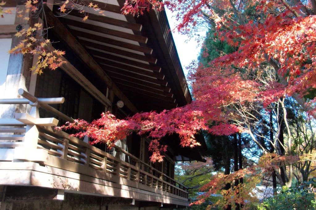 Sanzen-in Temple: A Tendai Monzeki Temple in Kyoto 4 Sanzen-in Temple