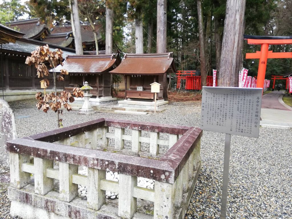 Taga Taisha: A Historic Shinto Shrine in Japan 4 Taga Taisha