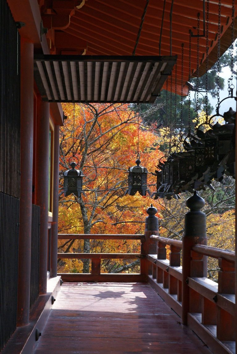 Tanzan Shrine: A Shinto Shrine and Former Buddhist Temple Complex in Japan