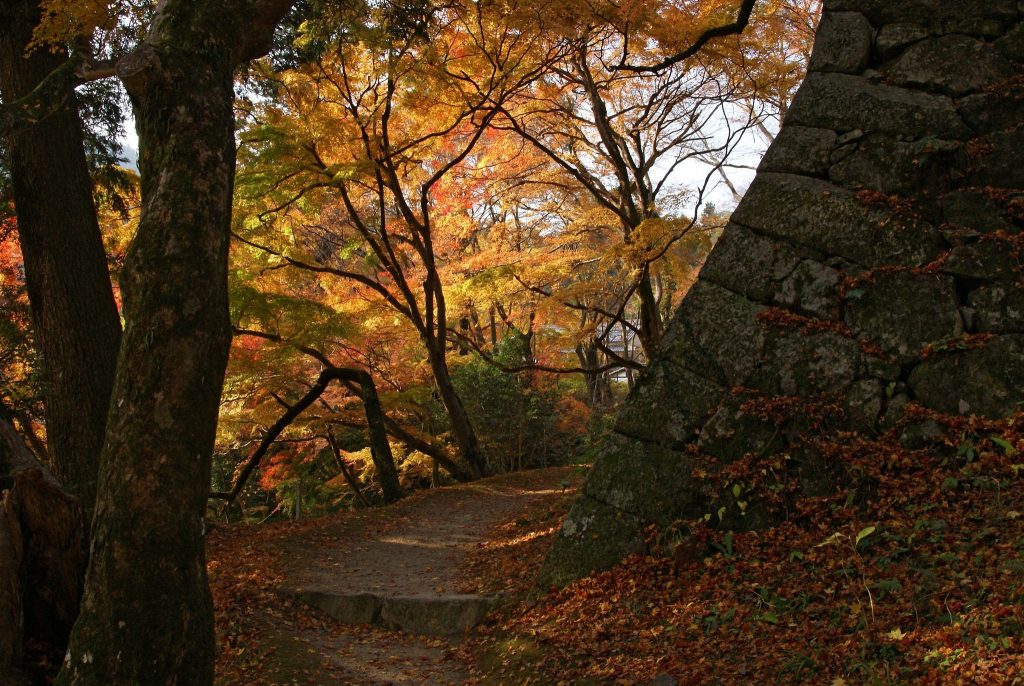 Tanzan Shrine