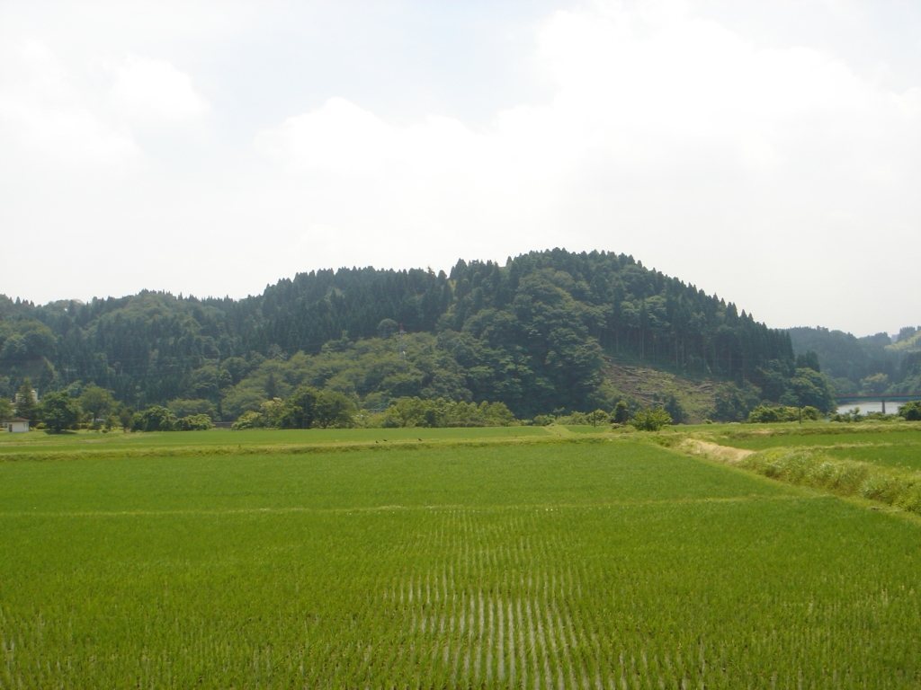 Masuyama Castle: A Mountain Stronghold in Toyama, Japan 1 Masuyama Castle