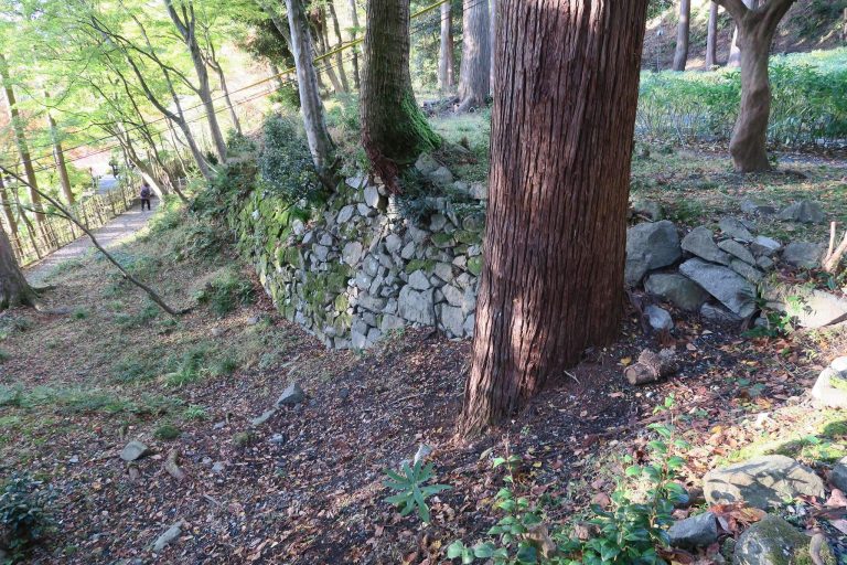 Hyakusai-ji Temple: A Tendai Buddhist Temple in Higashiomi, Japan