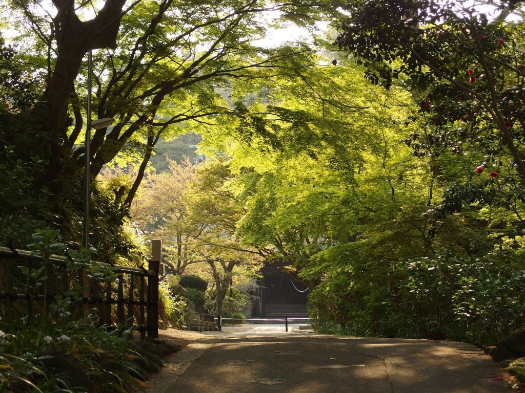 Myōhon-ji Temple: A Nichiren Buddhist Head Temple in Kamakura 5 Myōhon-ji Temple
