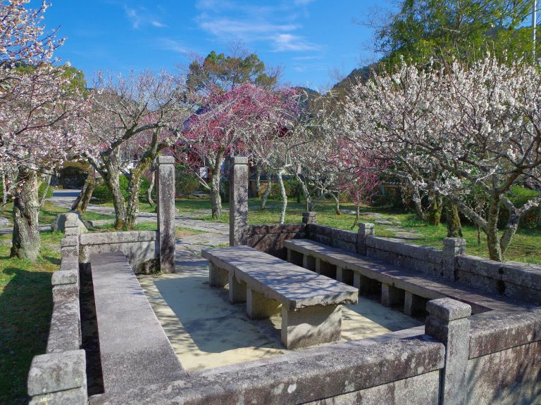 Kanshin-ji Temple: A Historic Shingon Buddhist Temple in Osaka