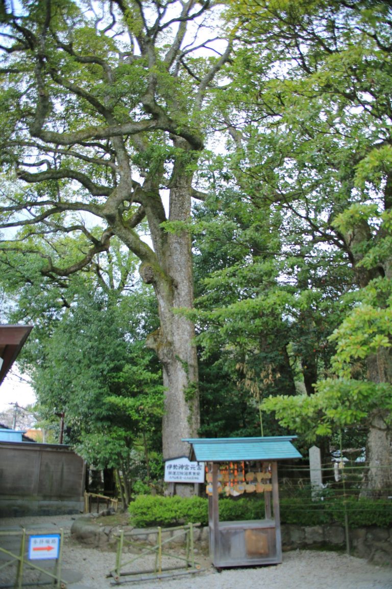 Kono Shrine: The Principal Shrine of Former Tango Province