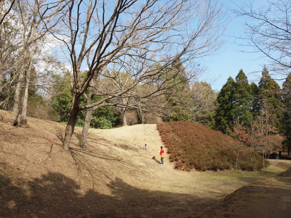 Torazuka Kofun: A Decorated Burial Mound in Japan 3 Torazuka Kofun