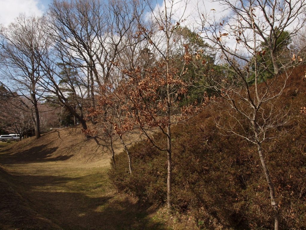 Torazuka Kofun: A Decorated Burial Mound in Japan 4 Torazuka Kofun