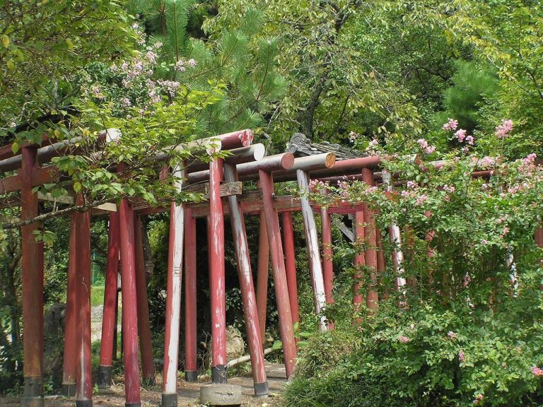 Kuroi Castle: A Sengoku-Period Mountain Fortress in Japan