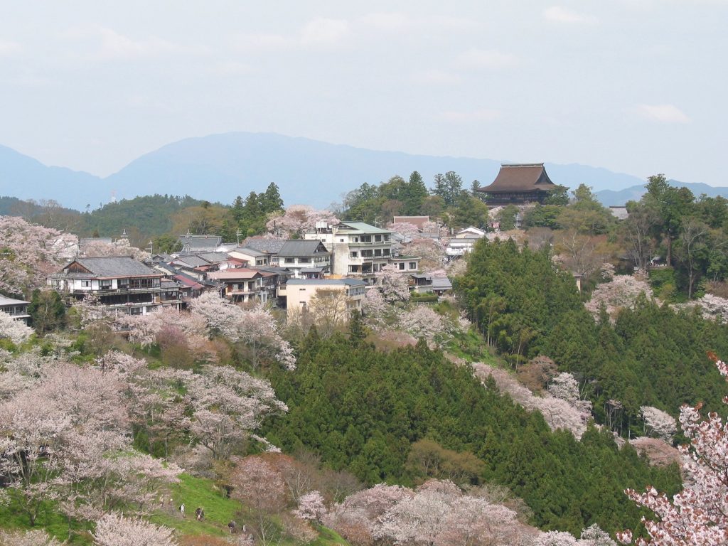 Kiriyama Castle