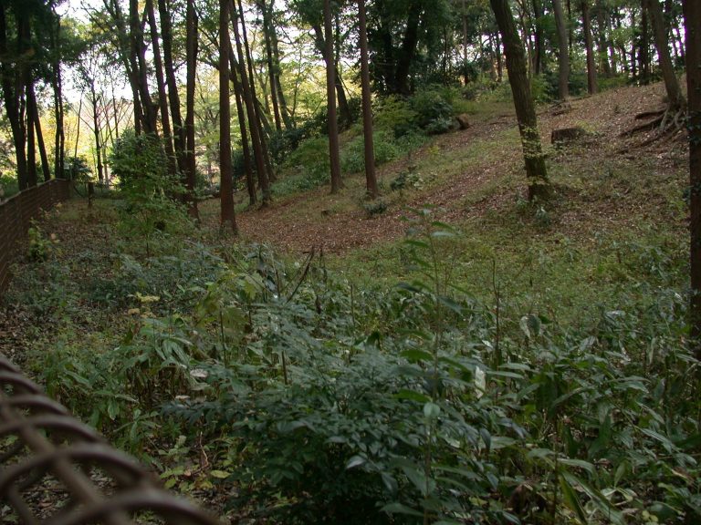 Shakujii Castle: A Muromachi-Period Hill Fortress in Japan