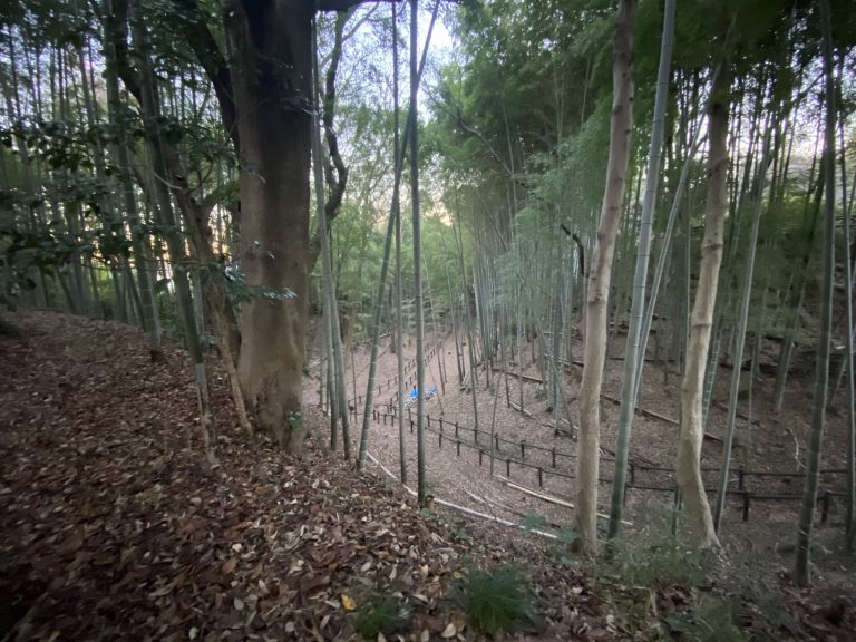 Kozukue Castle: A Sengoku-Era Hill Fortress in Yokohama