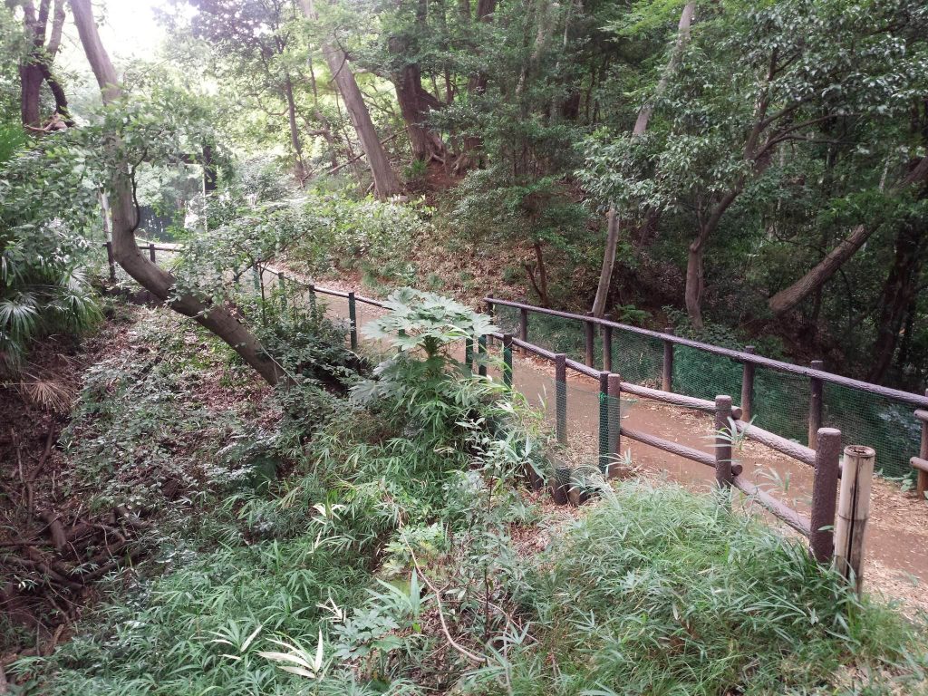 Kozukue Castle: A Sengoku-Era Hill Fortress in Yokohama 2 Kozukue Castle