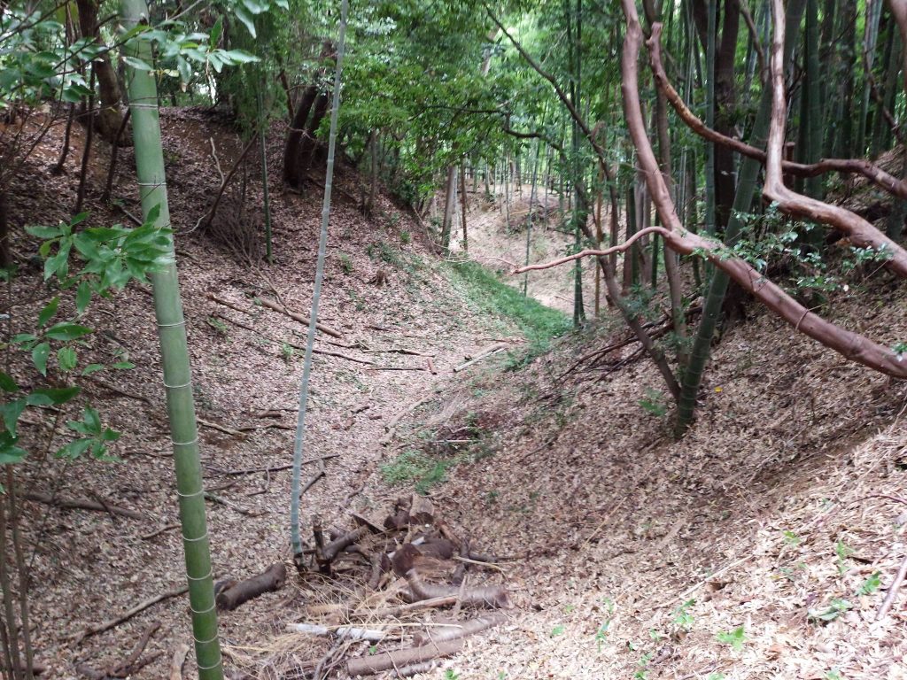 Kozukue Castle: A Sengoku-Era Hill Fortress in Yokohama 3 Kozukue Castle