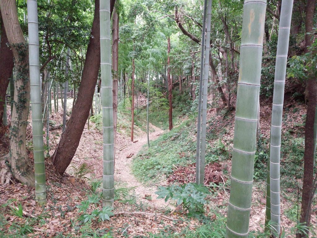 Kozukue Castle: A Sengoku-Era Hill Fortress in Yokohama 4 Kozukue Castle