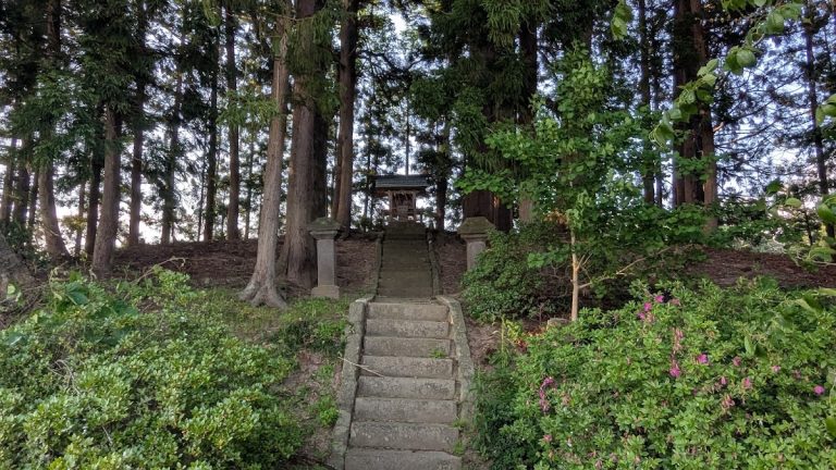 Kamegamori-Chinjumori Kofun: Kofun-Period Burial Mounds in Japan