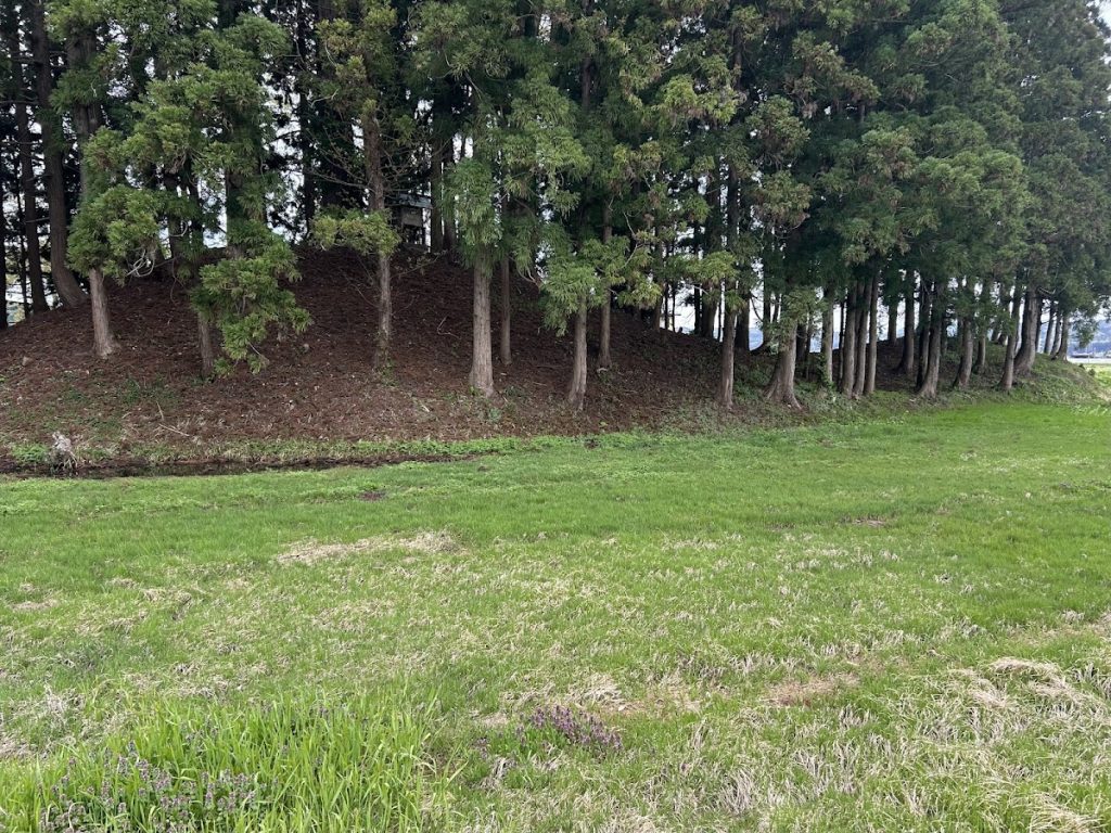 Kamegamori-Chinjumori Kofun: Kofun-Period Burial Mounds in Japan 2 Kamegamori-Chinjumori Kofun