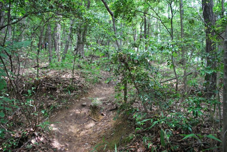 Kanakurayama Kofun: A Keyhole-Shaped Burial Mound in Okayama, Japan