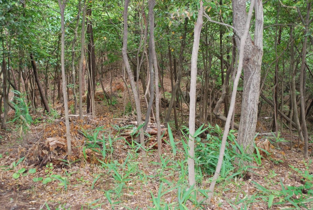 Kanakurayama Kofun