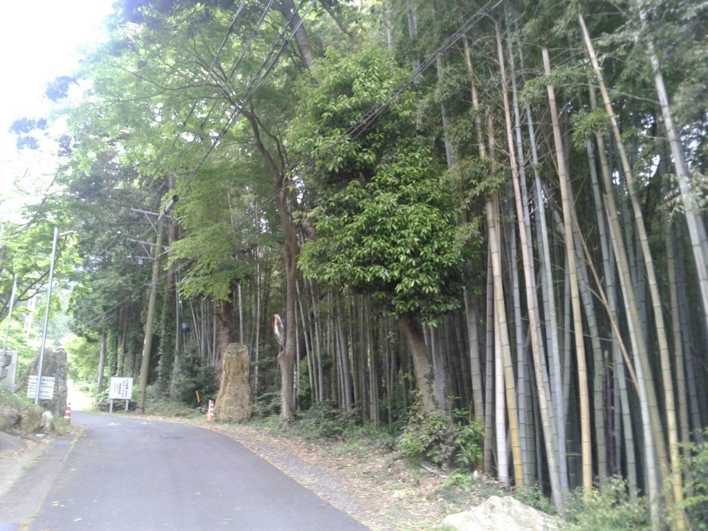 Fumon-ji Temple: A Historic Shingon Buddhist Temple in Toyohashi 4 Fumon-ji Temple (Toyohashi, Aichi)