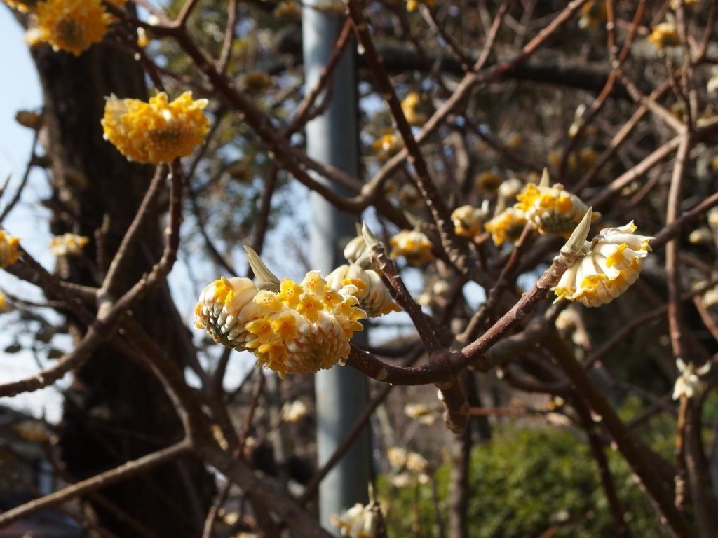 Egara Tenjinsha Shrine