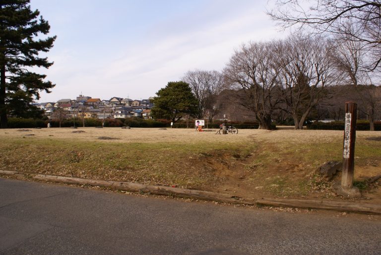 Musashi Kokubun-ji Remains: A Provincial Buddhist Monastery and Convent in Japan