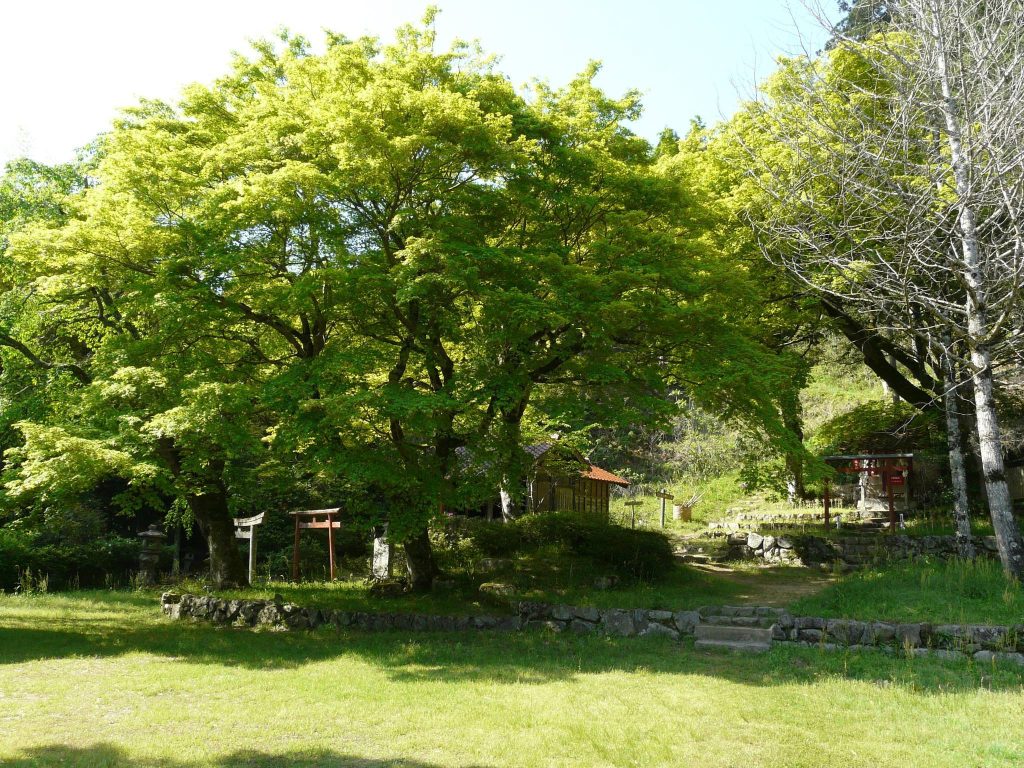 Washibara Hachimangū: A Historic Guardian Shrine of Tsuwano, Japan 5 Washibara Hachimangū
