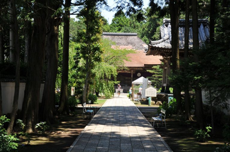 Tosa Kokubun-ji Temple: A Nara-Period Provincial Buddhist Temple in Japan