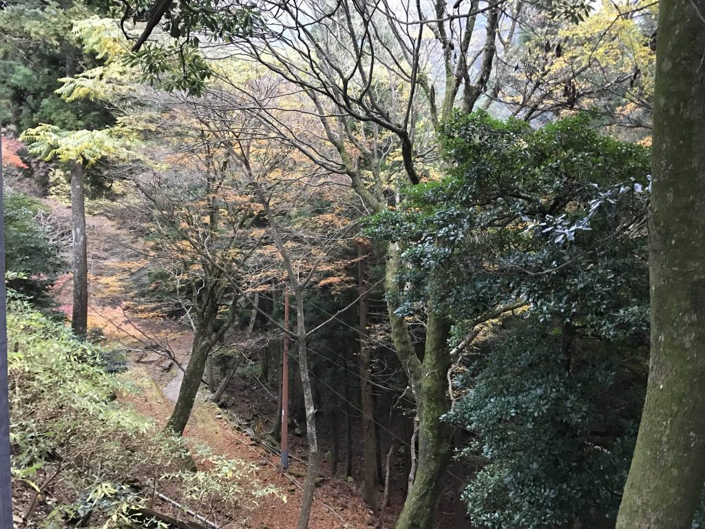 Hikosan Jingū: A Sacred Mountain Center and Shrine in Japan 3 Hikosan Jingū