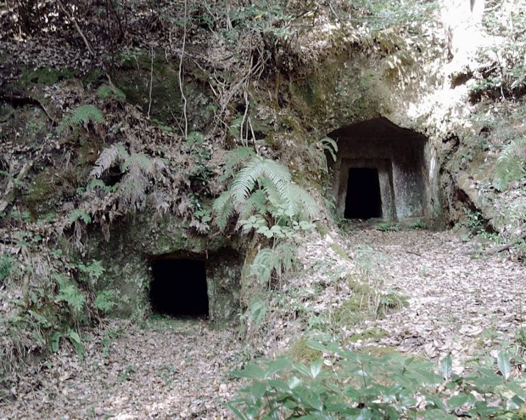 Abedani Kofun: A Late Kofun-Period Burial Complex in Japan
