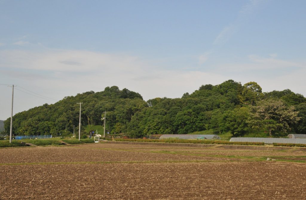 Tsukuriyama Ancient Burial Mound: A Kofun-Period Burial Monument in Japan 4 Tsukuriyama Ancient Burial Mound