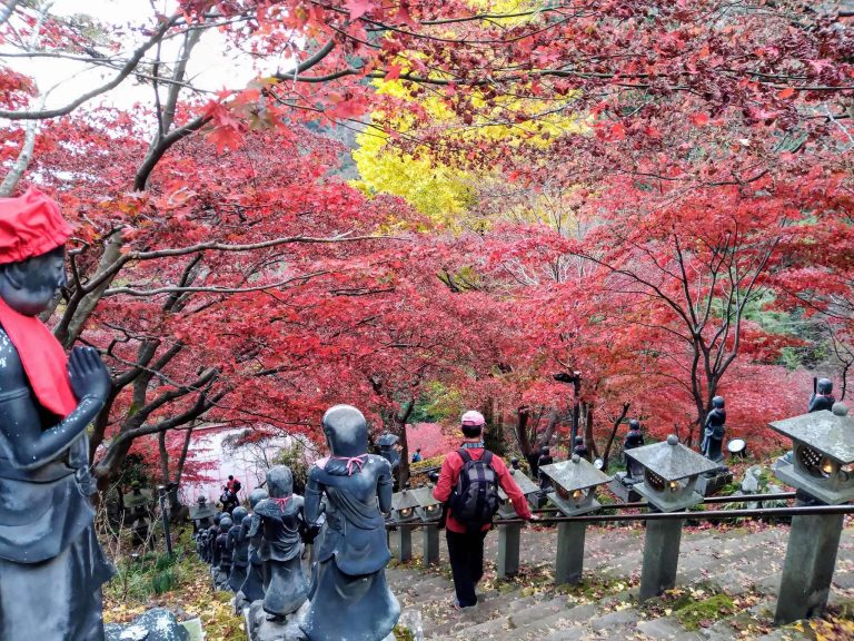Ōyama-dera Temple: A Historic Shingon Buddhist Temple in Japan