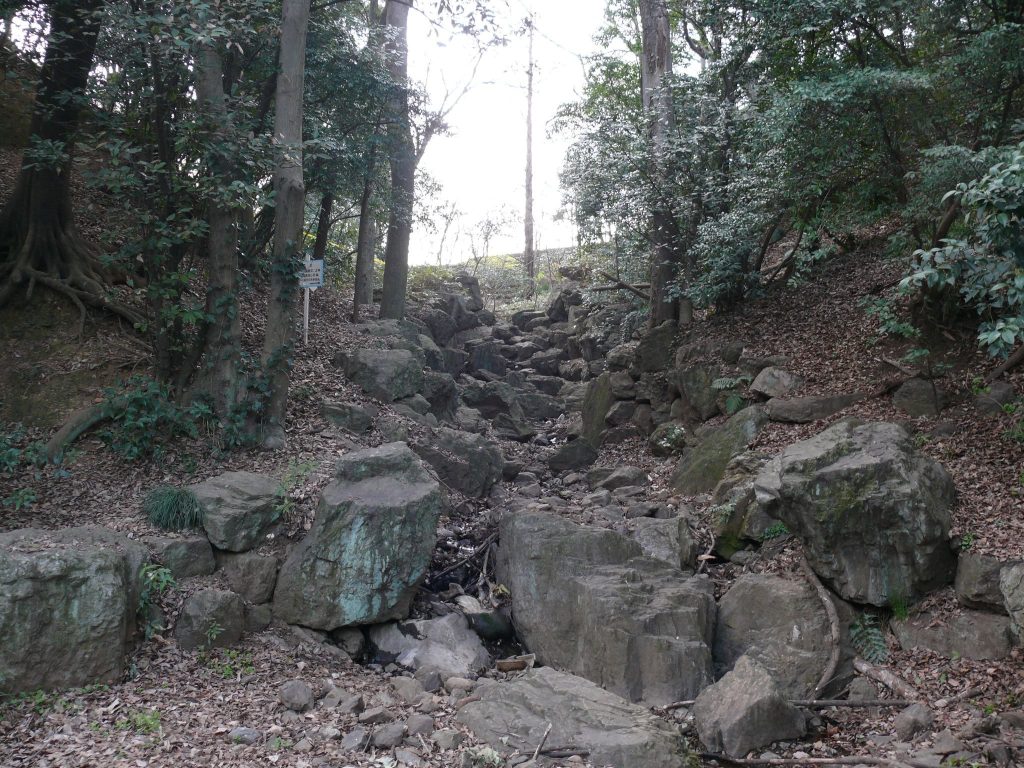 Taki-no Castle: A Japanese Hill-and-Mountain Fortress in Tokorozawa 1 Taki-no Castle