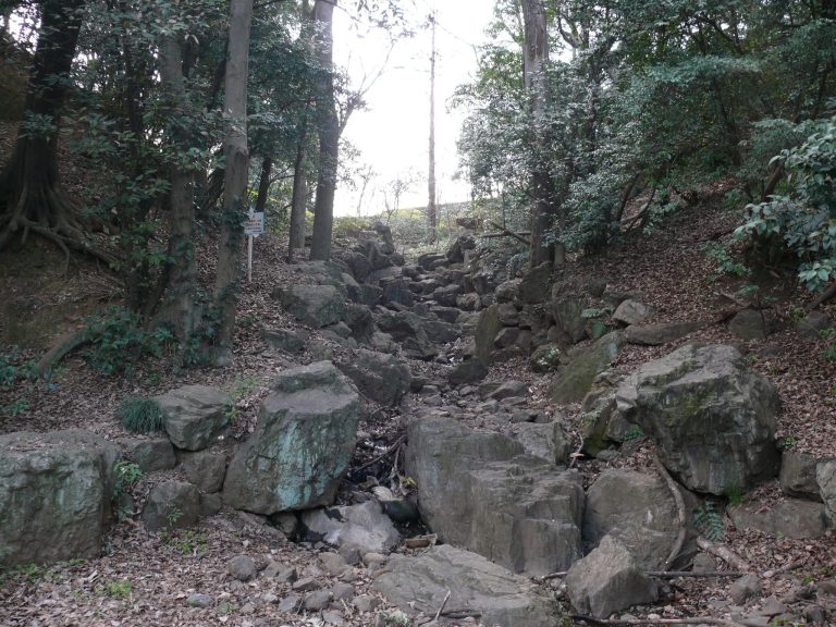 Taki-no Castle: A Japanese Hill-and-Mountain Fortress in Tokorozawa