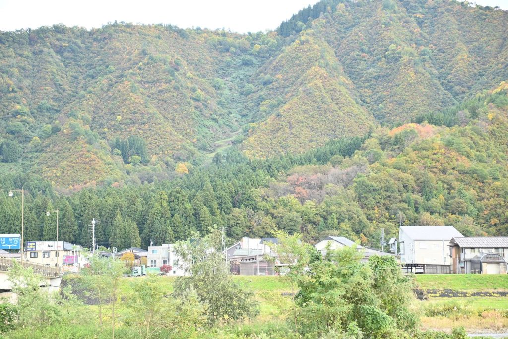 Sakado Castle