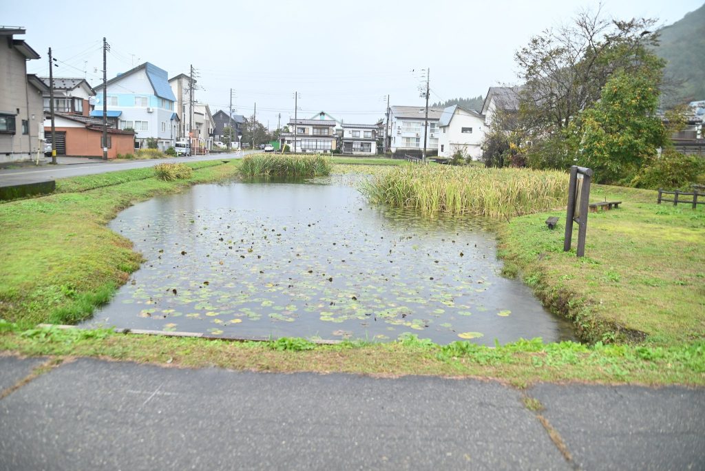 Sakado Castle