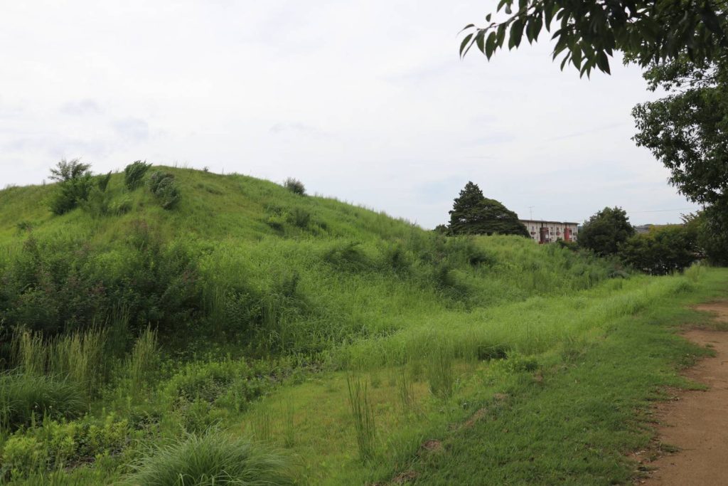 Yamashiro Futagozuka Kofun: A Sixth-Century Elite Burial Mound in Japan 1 Yamashiro Futagozuka Kofun